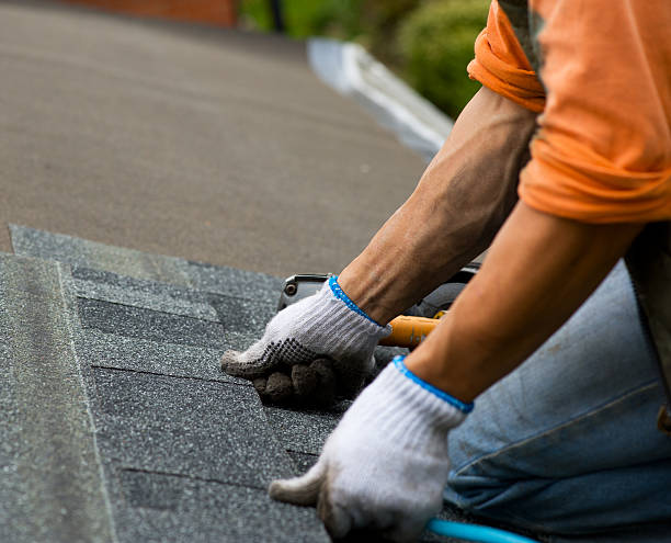 Best Roof Gutter Cleaning  in Camp Hill, AL